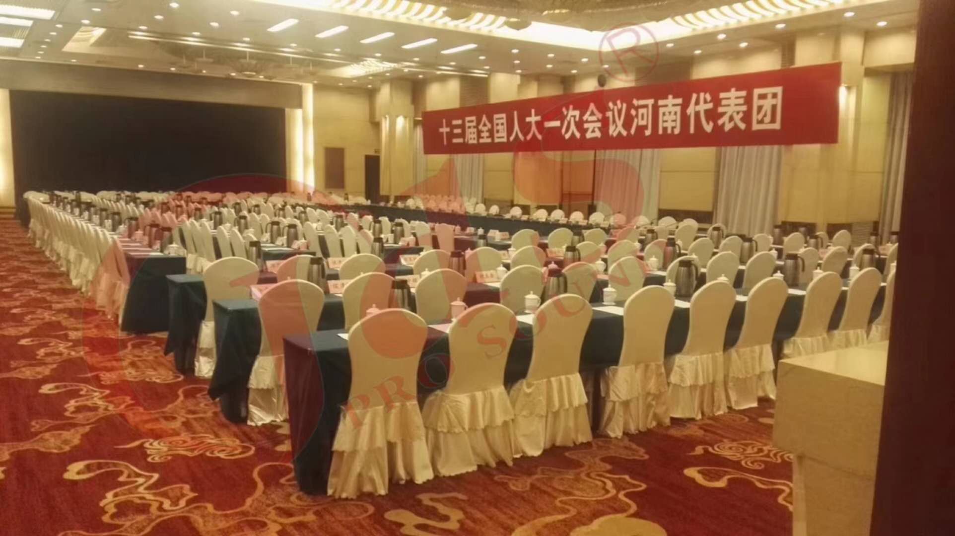 北京十三届全国第一次人大常委会河南代表团